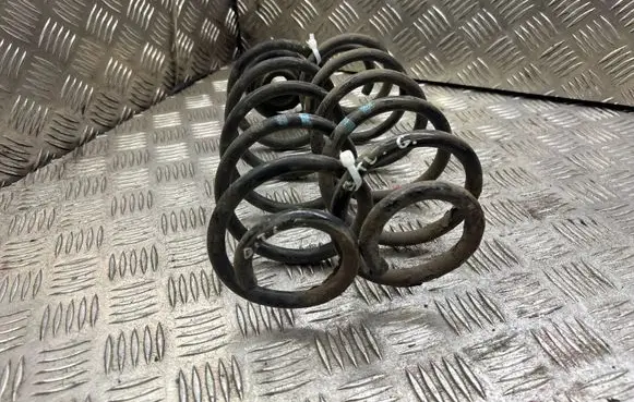 Volkswagen New Beetle Rear coil spring 