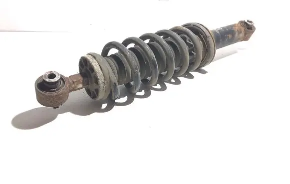 Peugeot 407 Rear shock absorber with coil spring 5206FG