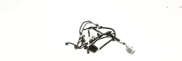 Other wiring loom