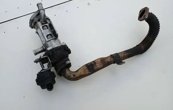 Renault Trafic II (X83) EGR valve cooler 820096841