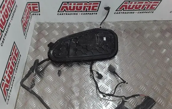 Rear door wiring loom
