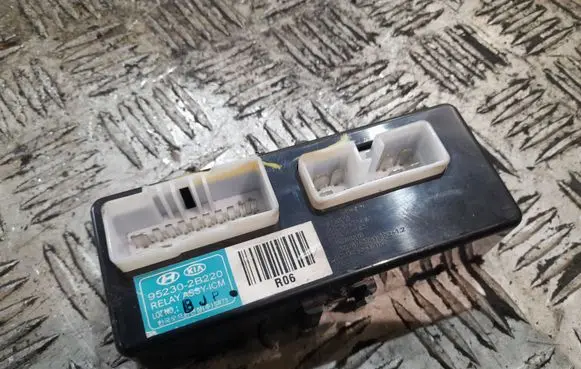 Hyundai Santa Fe Other control units/modules 952302B220