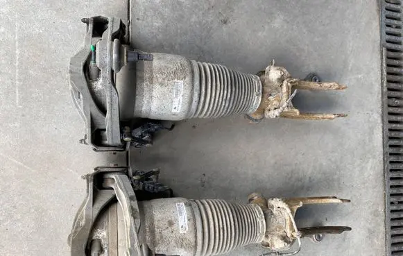 Porsche Cayenne (9PA) Front air suspension shock absorber 15140004414 070615170935