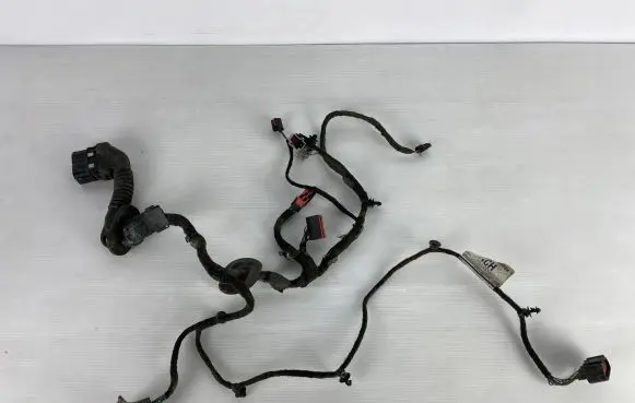 Ford C-MAX II Front door wiring loom F1DT-14A584