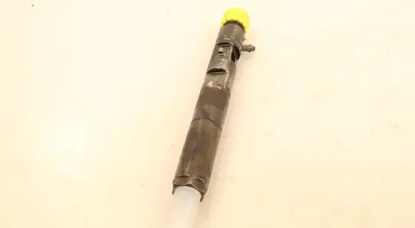 Renault Megane III Fuel injector 8200794299