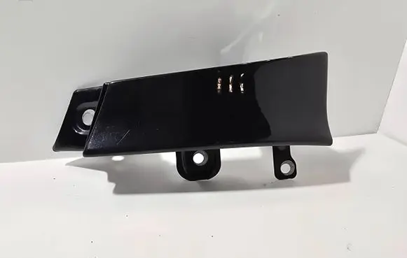 Rear/tail light trim molding