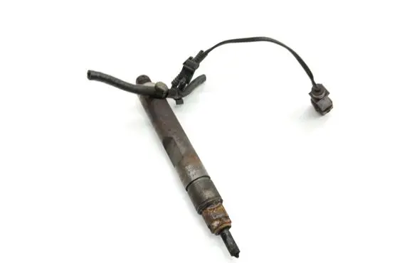 Volkswagen New Beetle Fuel injector 0281302020