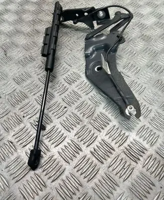 BMW X5 E70 Engine bonnet/hood hinges 7208628