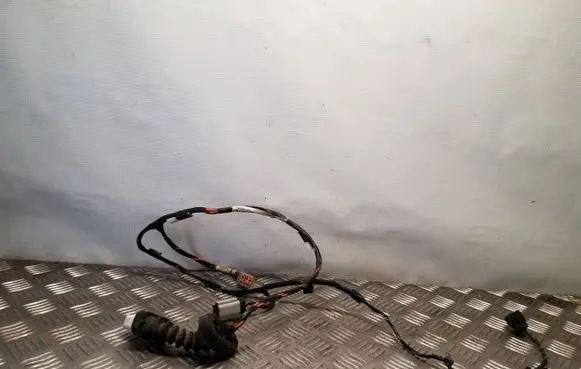 Rear door wiring loom