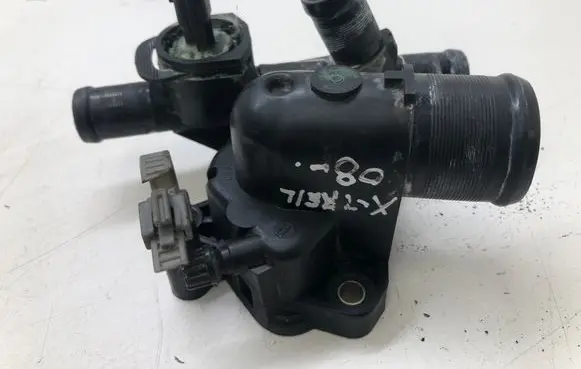 Thermostat/thermostat housing