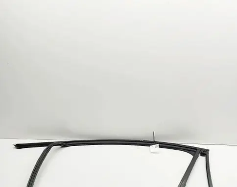 Ford Mustang Mach-E Front door glass trim molding LJ8BR21511AH