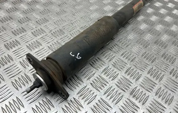 Dodge Charger Rear shock absorber/damper 52830