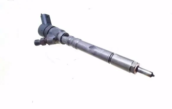 Hyundai Santa Fe Fuel injector 0445110064 3380027010