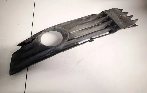Front bumper lower grill