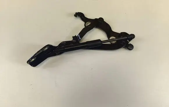Tailgate/trunk strut/damper