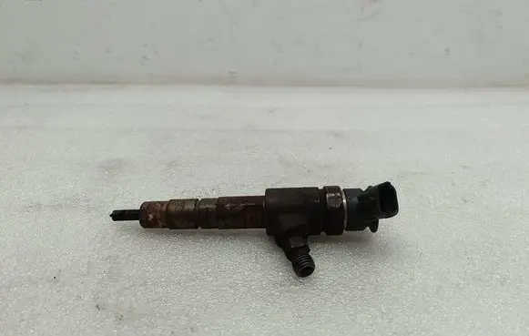 Citroen Berlingo Fuel injector 0445110340