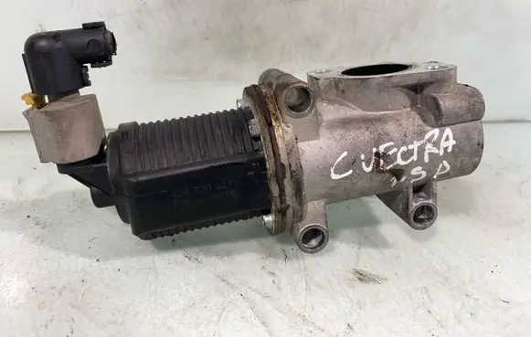 Opel Vectra C EGR valve 424720321
