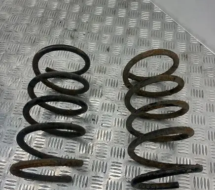 Rear coil spring