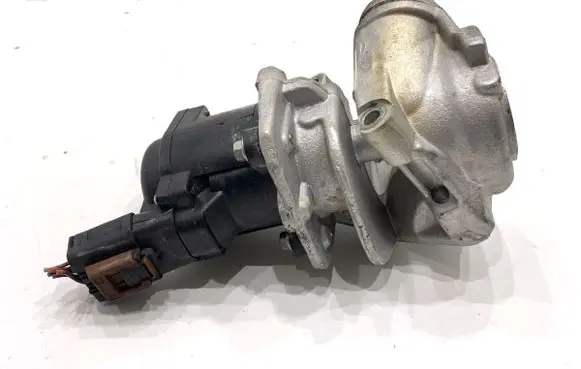 Peugeot Partner EGR valve EG10401