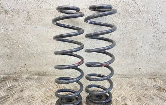 Rear coil spring
