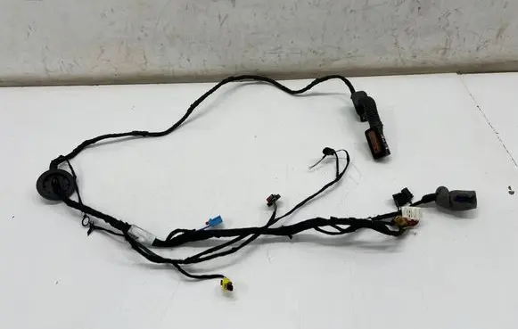 Audi Q8 e-tron Front door wiring loom 4KE971030