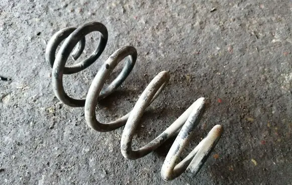 Rear coil spring