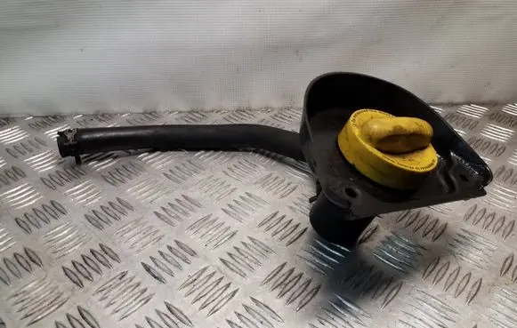 Renault Trafic III (X82) Oil fill pipe 8200795333