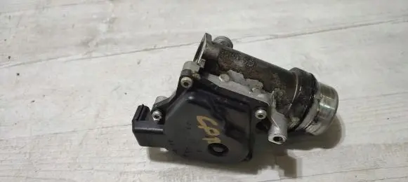 Renault Captur Throttle valve 161A09287R