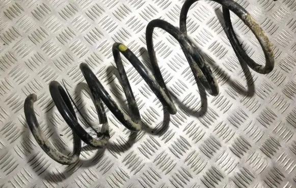 Front coil spring