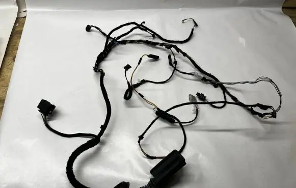 BMW 2 F22 F23 Front door wiring loom 19344411
