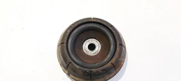 Coil spring mount