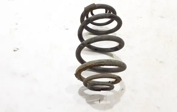 Renault Trafic III (X82) Rear coil spring 550202870R