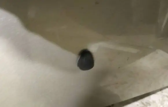 Windshield washer spray nozzle