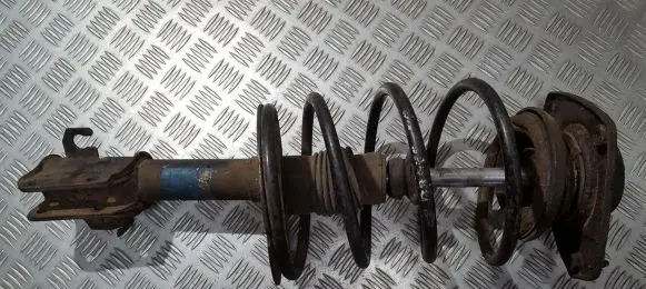 Fiat Bravo - Brava Front shock absorber/damper