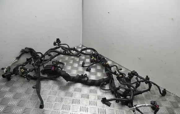 Engine installation wiring loom