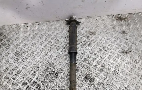Opel Mokka Rear shock absorber/damper