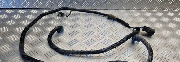 Opel Vectra C Other wiring loom 24419043