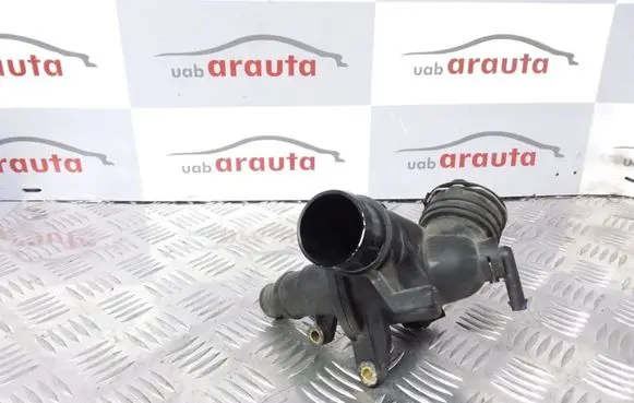 Thermostat/thermostat housing
