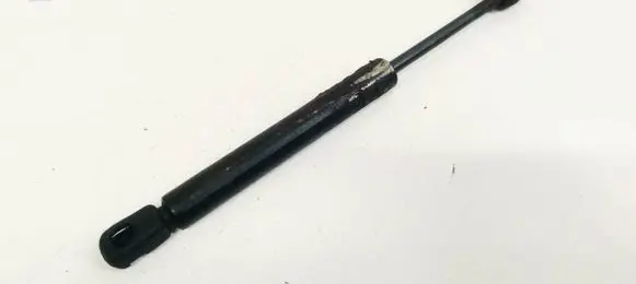 Tailgate/trunk strut/damper