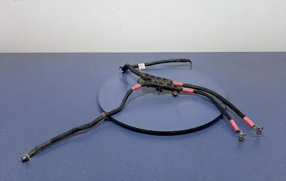 Other wiring loom