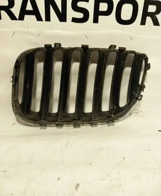 BMW X5 E53 Front bumper upper radiator grill 51137124816