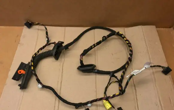 Front door wiring loom