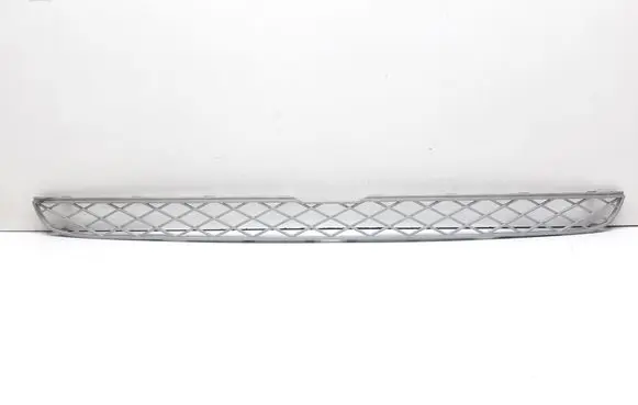 BMW X5 E70 Front bumper lower grill 7159597 51117159597