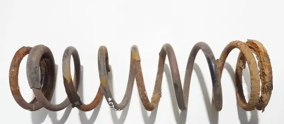 Ford Focus Rear coil spring