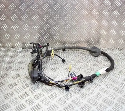 Tesla Model 3 Other wiring loom 206878902B
