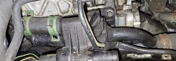 Ford Focus Engine coolant pipe/hose