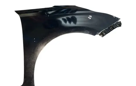KIA Carens II Fender