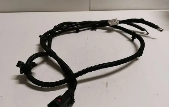 Audi Q5 SQ5 Other wiring loom 8R1971111