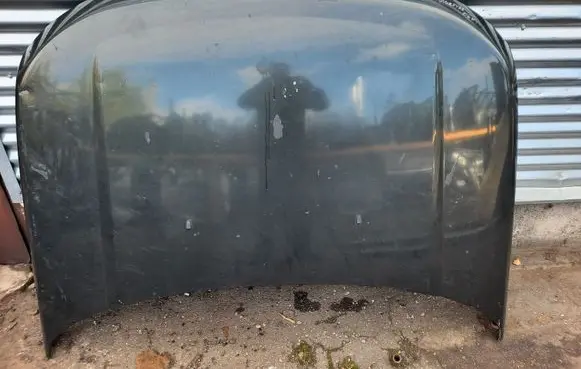 Engine bonnet/hood