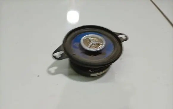Renault Scenic II - Grand scenic II Front door speaker 